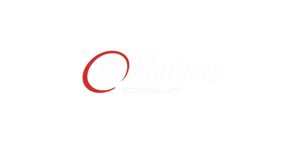 dahua